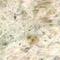 LightGhibli_thumb.jpg (7609 bytes)