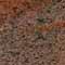 MulticolourRedTN_thumb.jpg (6547 bytes)