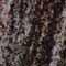 paradisoWaves_thumb.jpg (6992 bytes)