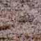 rawsilk_thumb.jpg (6893 bytes)