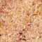SivaGoldDark_thumb.jpg (6656 bytes)
